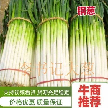 【推荐】干葱大葱钢葱毛葱产地直发货源充足产地直供