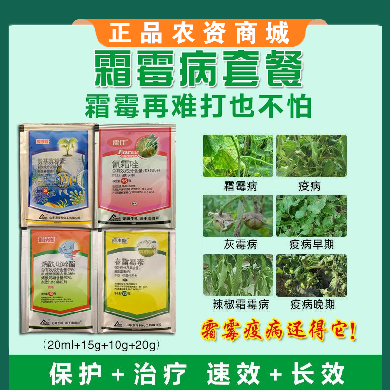 抗性霜霉病早晚疫病氰霜唑烯酰吡唑酯氨基寡糖素
