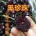 黑珍珠樱桃苗车厘子大樱桃树苗保成活当年结果