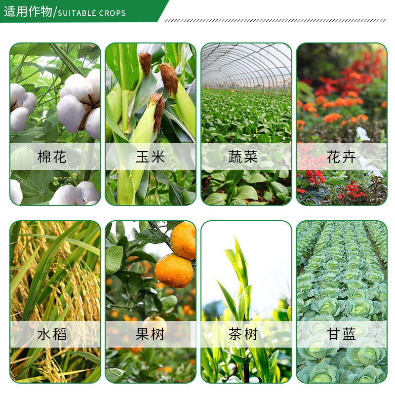 40%辛硫磷棉铃虫菜青虫黏虫杀虫剂土壤果树花卉蔬菜