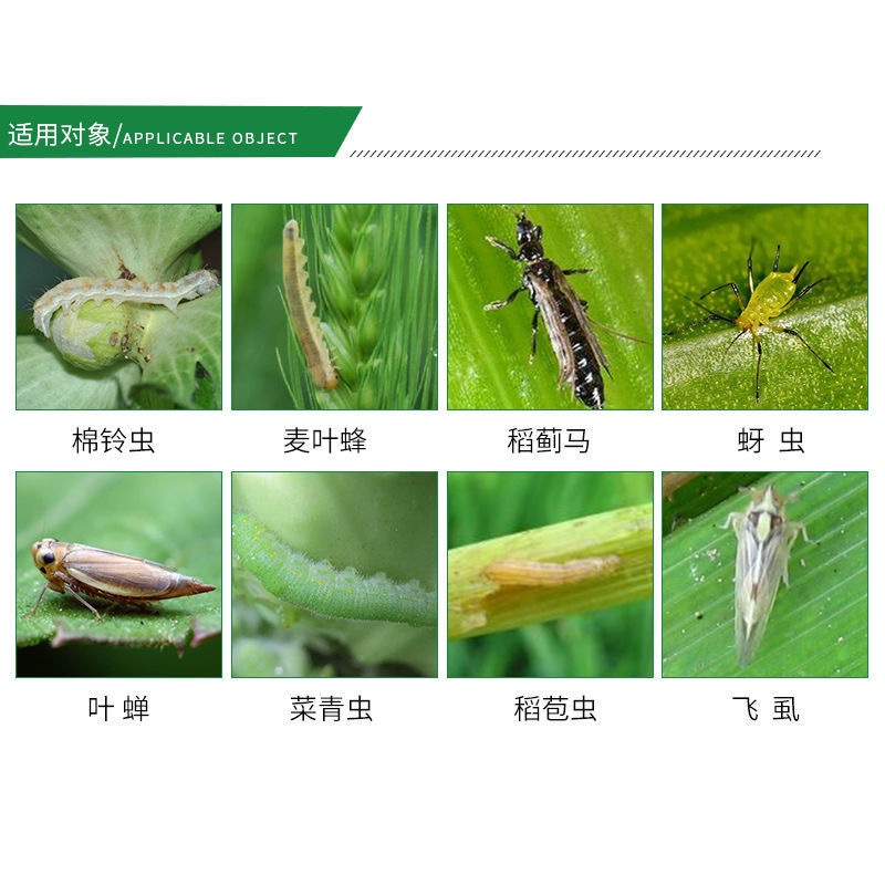 40%辛硫磷棉铃虫菜青虫黏虫杀虫剂土壤果树花卉蔬菜