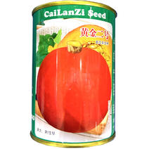 红板栗南瓜种子早熟杂交厚圆肉橙形橙红色基地品种