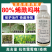 烯酰吗啉杀菌剂霜霉病早晚疫病黑胫病黄瓜葱大棚蔬菜果树