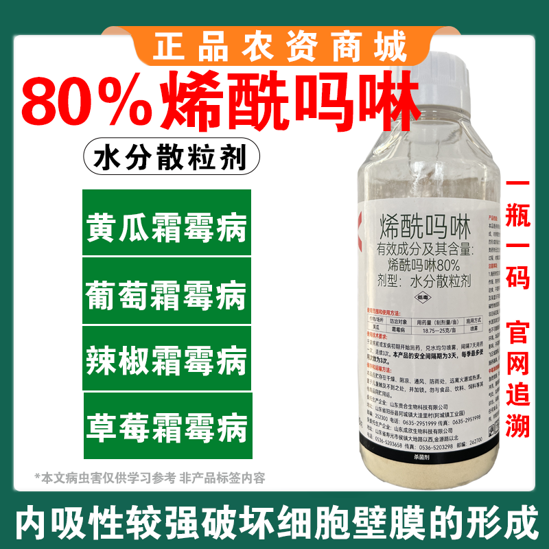 烯酰吗啉杀菌剂霜霉病早晚疫病黑胫病黄瓜葱大棚蔬菜果树