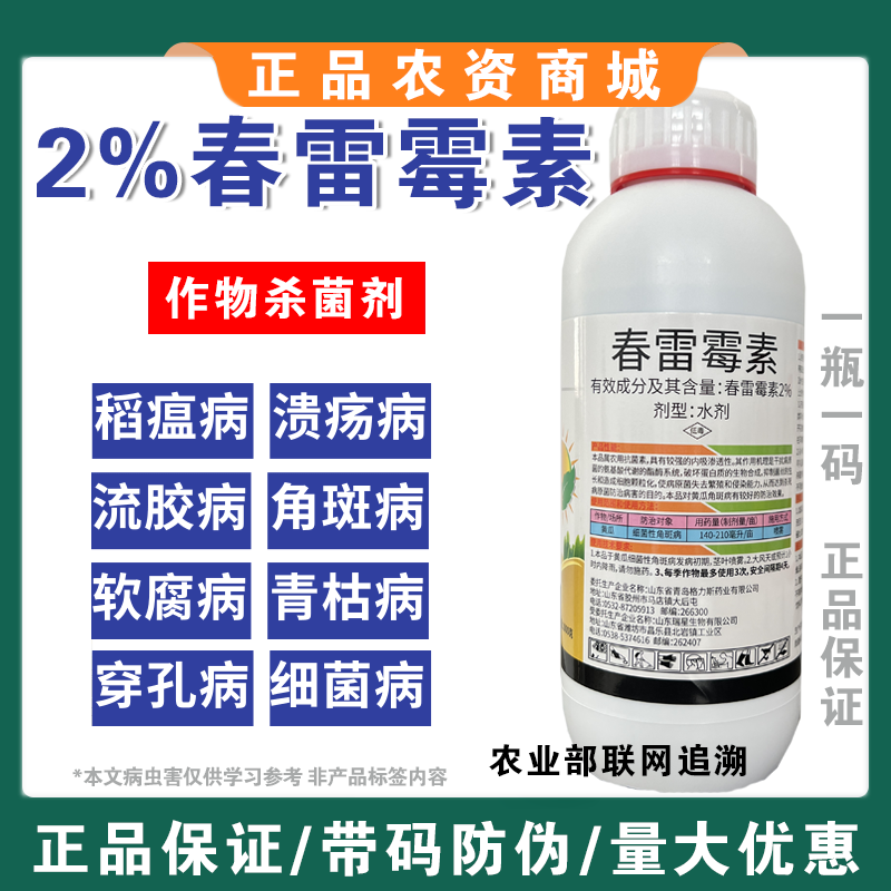 春雷霉素杀菌剂角斑病叶霉病柑橘溃疡病灰霉病流胶病疫病稻瘟