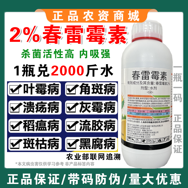 春雷霉素杀菌剂角斑病叶霉病柑橘溃疡病灰霉病流胶病疫病稻瘟