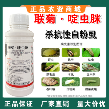 6%联菊啶虫脒抗性白粉虱专用蚜虫蓟马小黑飞蔬菜果树花卉