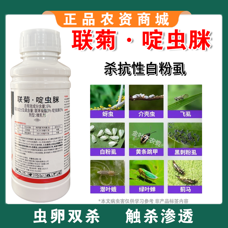6%联菊啶虫脒抗性白粉虱专用蚜虫蓟马小黑飞蔬菜果树花卉