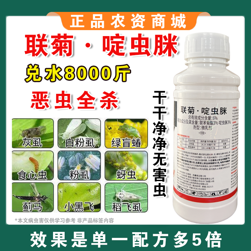6%联菊啶虫脒抗性白粉虱专用蚜虫蓟马小黑飞蔬菜果树花卉