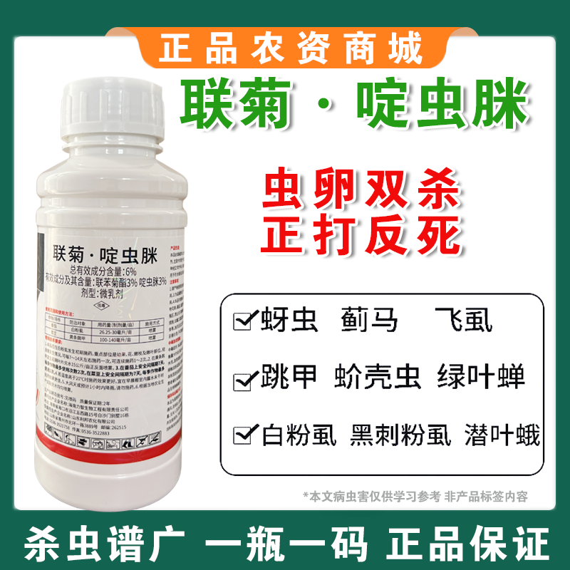 6%联菊啶虫脒抗性白粉虱专用蚜虫蓟马小黑飞蔬菜果树花卉