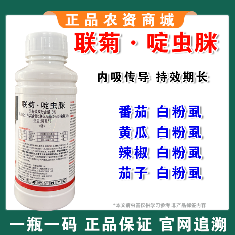 6%联菊啶虫脒抗性白粉虱专用蚜虫蓟马小黑飞蔬菜果树花卉