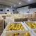 【热卖】尤力克柠檬大量现货产地直发保质保量货源充足欢迎咨询