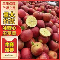 云南昭通冰糖心丑苹果大量上市产地直发供应全国市场