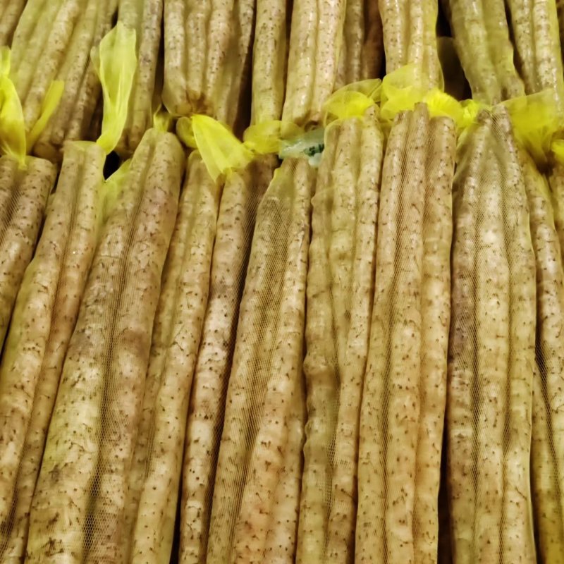 小白嘴山药商超直发，基地种植也代发全国