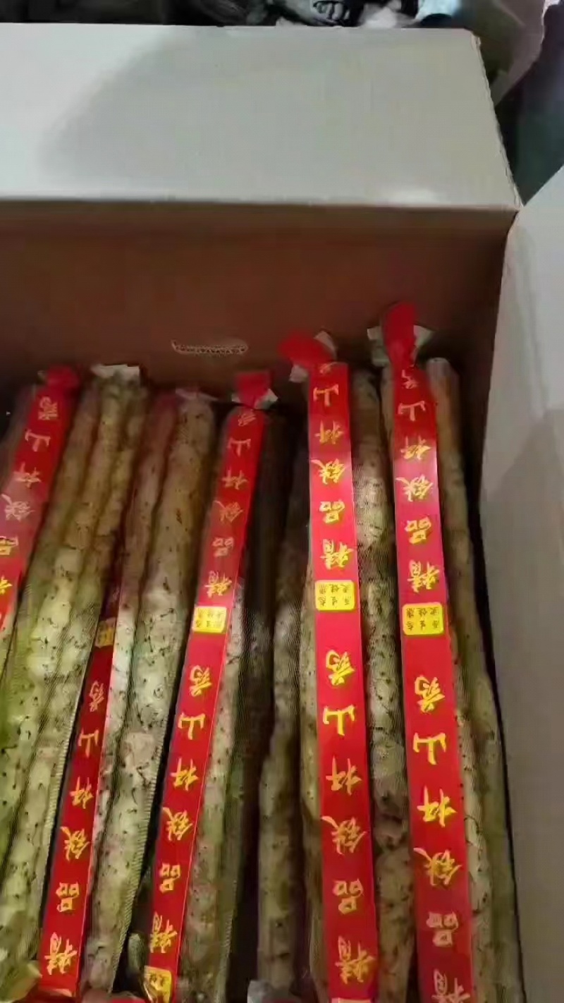 【精品推荐】河北蠡县铁棍山药，600亩基地，质量保证