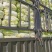 【推荐】精品辽宁白菜杠菜大量现货保质保量可对接商超市