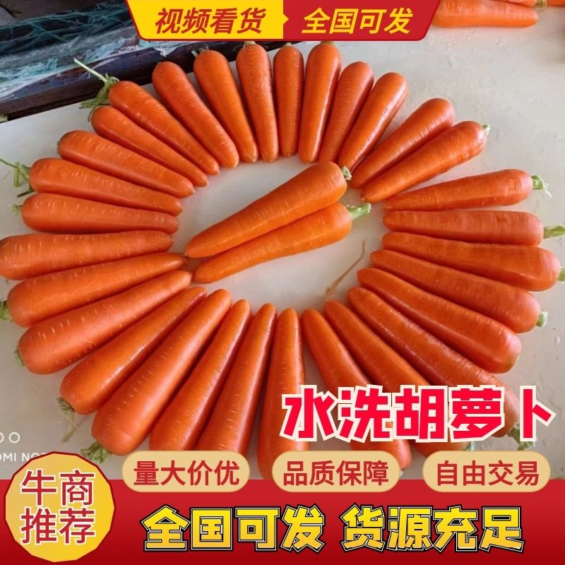 【热卖】胡萝卜水洗带苗土货有专业打包团队按需包装电商市场
