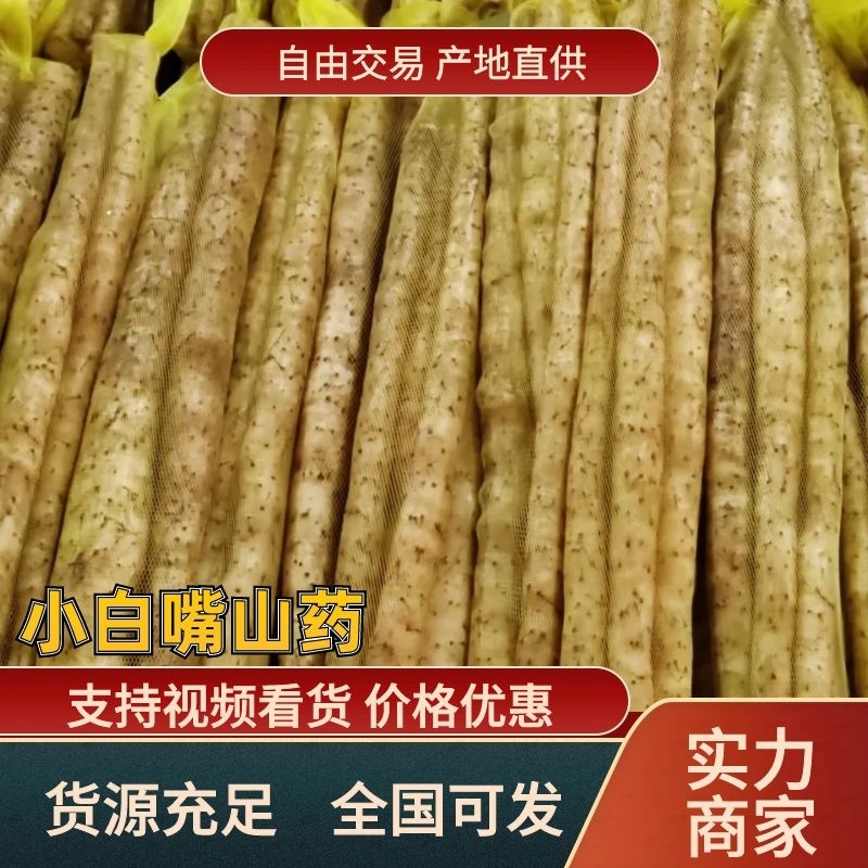 河北山药小白嘴山药，对接全国商超电商批发市场
