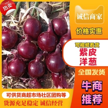 【紫皮洋葱】对接电商市场商超等各类客户