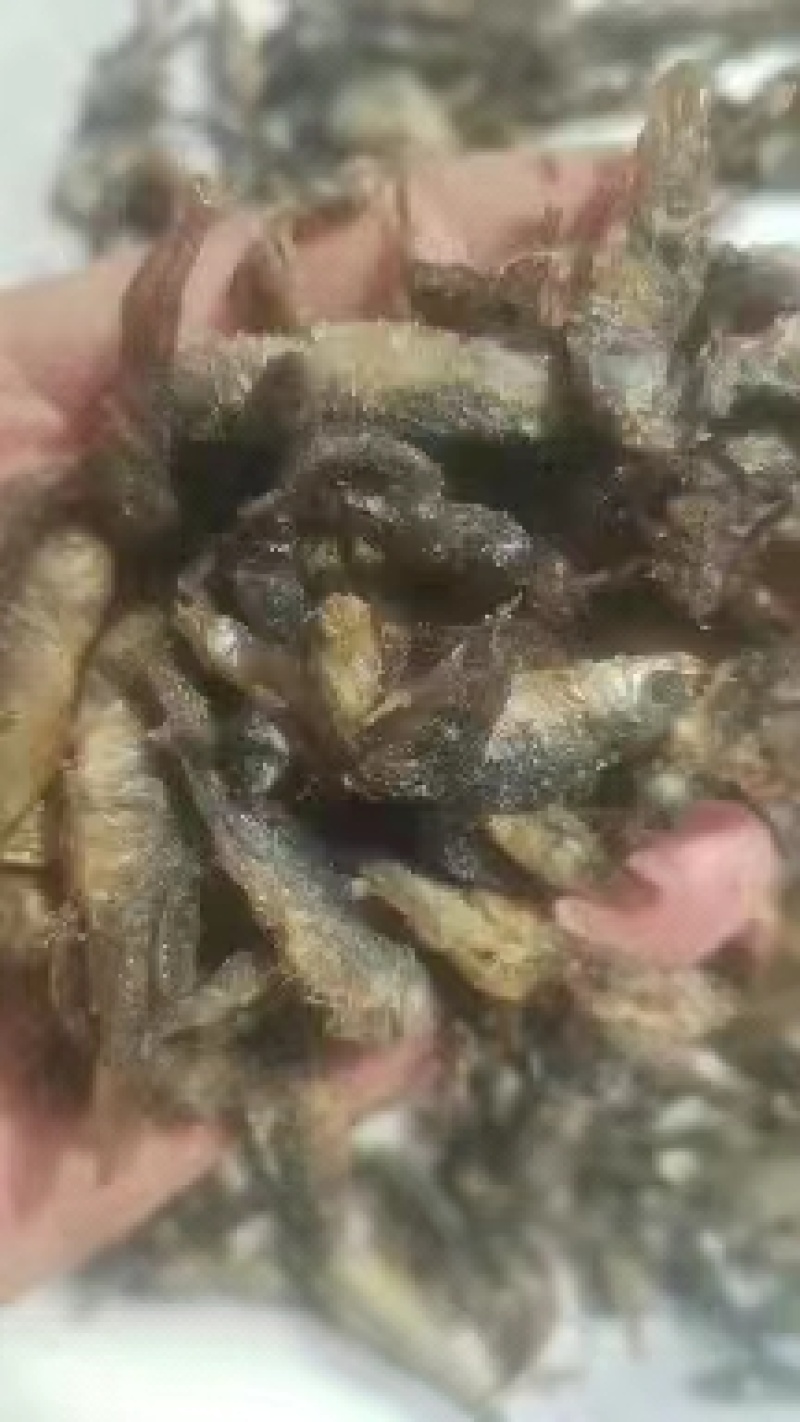 油炸麦穗鱼