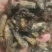 油炸麦穗鱼