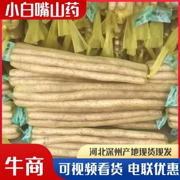 【优选货源】小白嘴山药货真价实可商超批发市场和电商团购