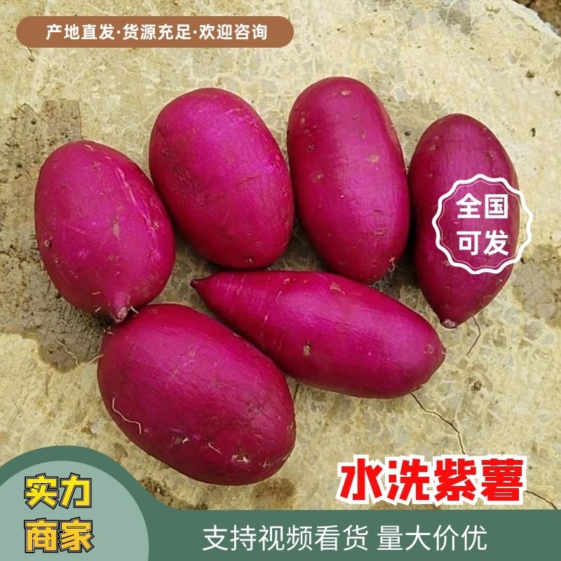 【荐】紫薯精品水洗椭圆水洗电商货档口货量大从优承接各平台