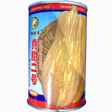 热销蜜本南瓜种子大果红肉真甜二号杂交基地品种甜面