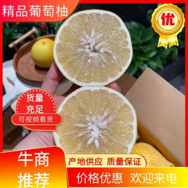 黄金葡萄柚/福建葡萄柚/量大价优/产地直发/欢迎致电