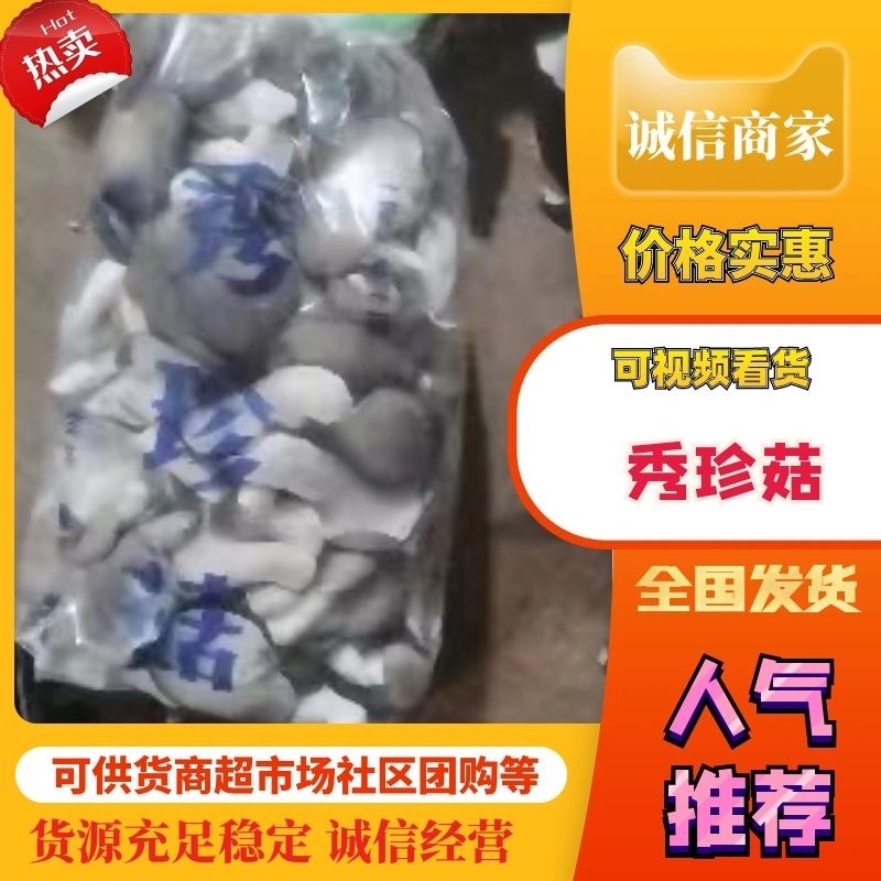 【热卖】秀珍菇小黑平品质保障货源充足量大从优欢迎选购