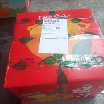 精品爱媛38果冻橙大量上市一件也可以发货对接电商香甜纯甜