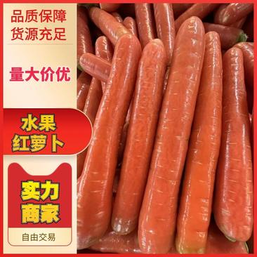 精品水果红萝卜现货供应货源充足质量好品质保证