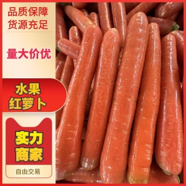新鲜土水果红萝卜胡萝卜供应电商加工厂批发市场质量好价低
