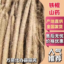 【铁棍山药】铁杆山药山西基地直供量大从优对接全国来电优惠