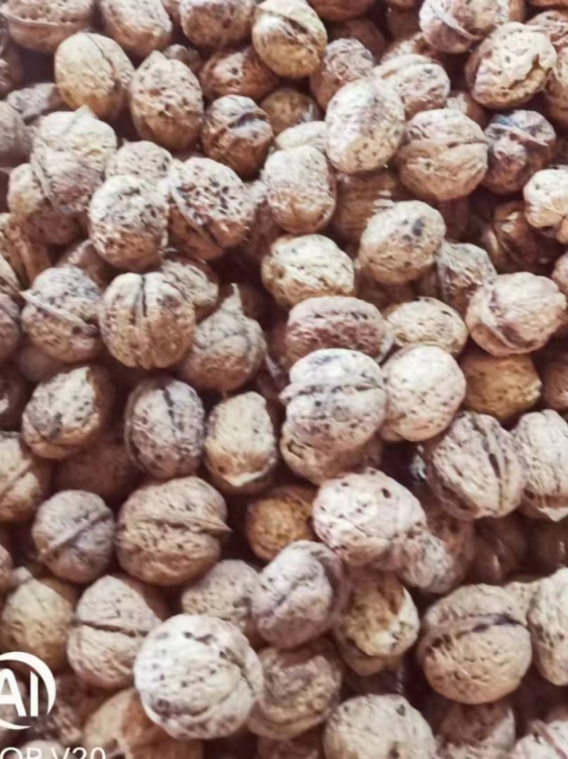 【老树薄壳核桃】老树核桃麻子核桃规格齐全量大从优电话议价