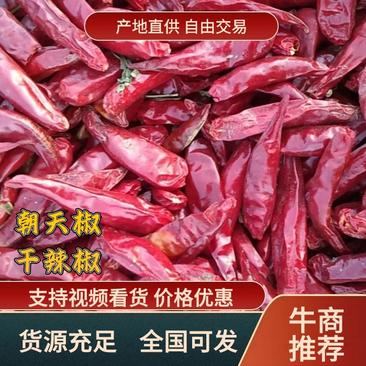 河南开封通许朝天椒干辣椒，品种齐全专接全国商超。
