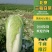 精品白菜北京三号白菜净菜产地发货大量供应欢迎采购