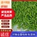 【实力】鲜辣椒夏邑301辣椒，一手货源现摘现发，欢迎电联