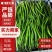 【实力】河南商丘辣椒线椒，货源充足，严选品质，可视频看货