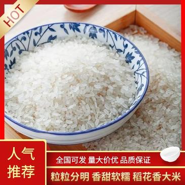 【精选】东北稻花香大米黑龙江大米工厂价格有需致电详谈