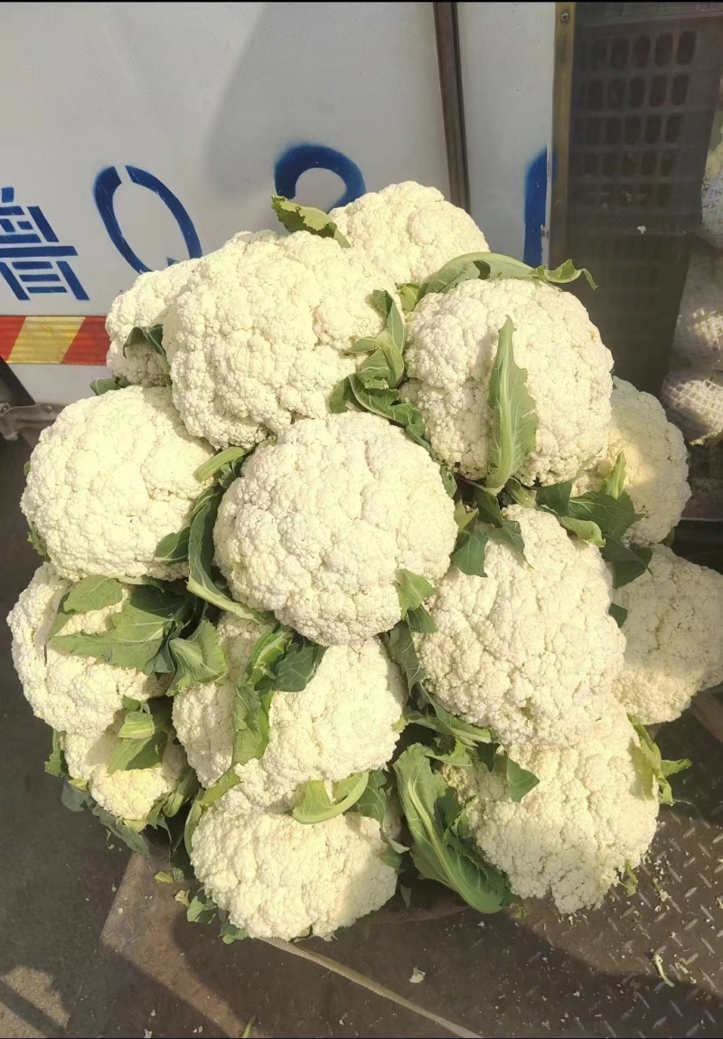 河南精品有机花花菜松花菜散花，小米粒白面青梗有机花