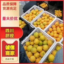 四川橙子脐橙大量上市产地直发保质保量供应全国市场