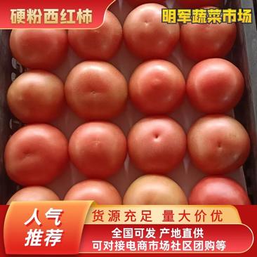 硬粉西红柿，冷棚种植，面积大，好收货，对接电商平台，