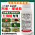 阿维螺螨酯红蜘蛛杀虫剂杀螨剂专用药柑橘果树花卉红白蜘蛛