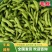 精品毛豆大量供应对接各种市场量大从优