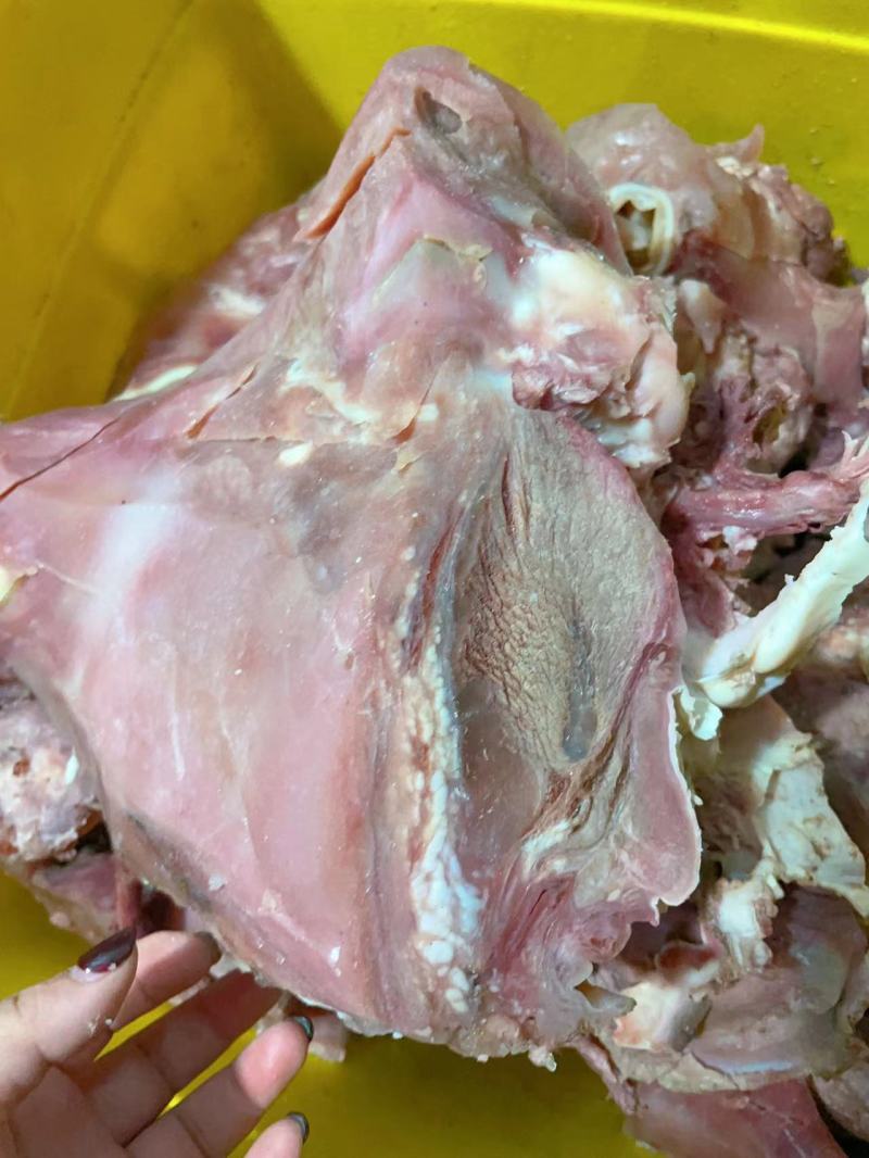 全熟精修去皮牛头肉精品牛肉批发价格详谈致电