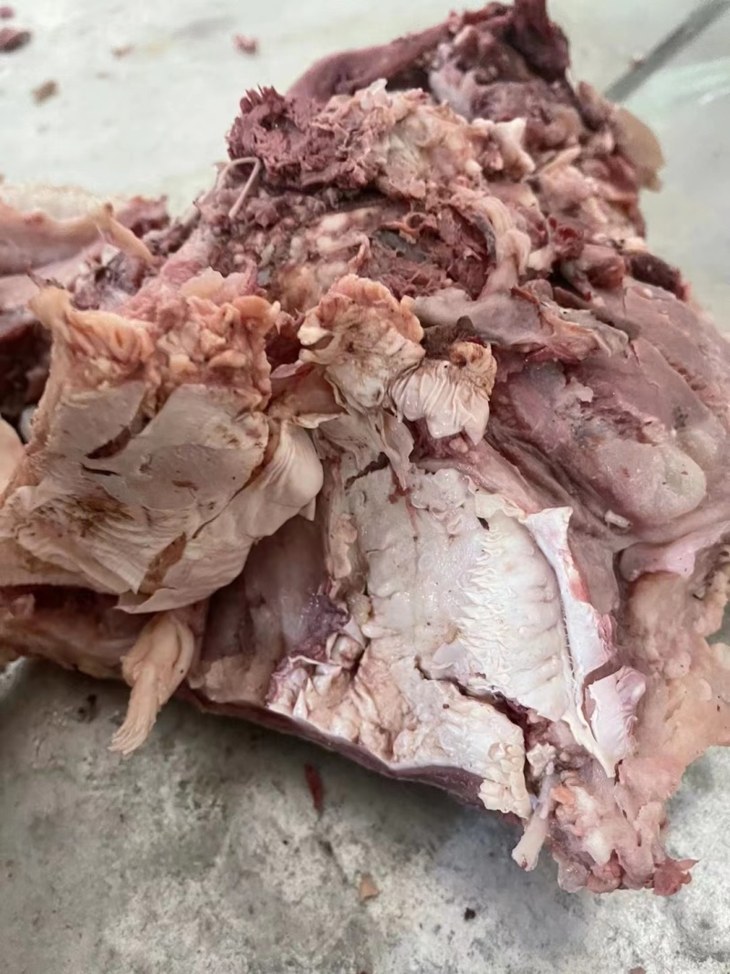 全熟精修去皮牛头肉精品牛肉批发价格详谈致电