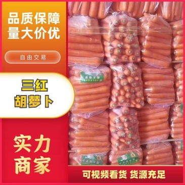 河南通许优质精品三红胡萝卜规格齐全货源充足大量批发