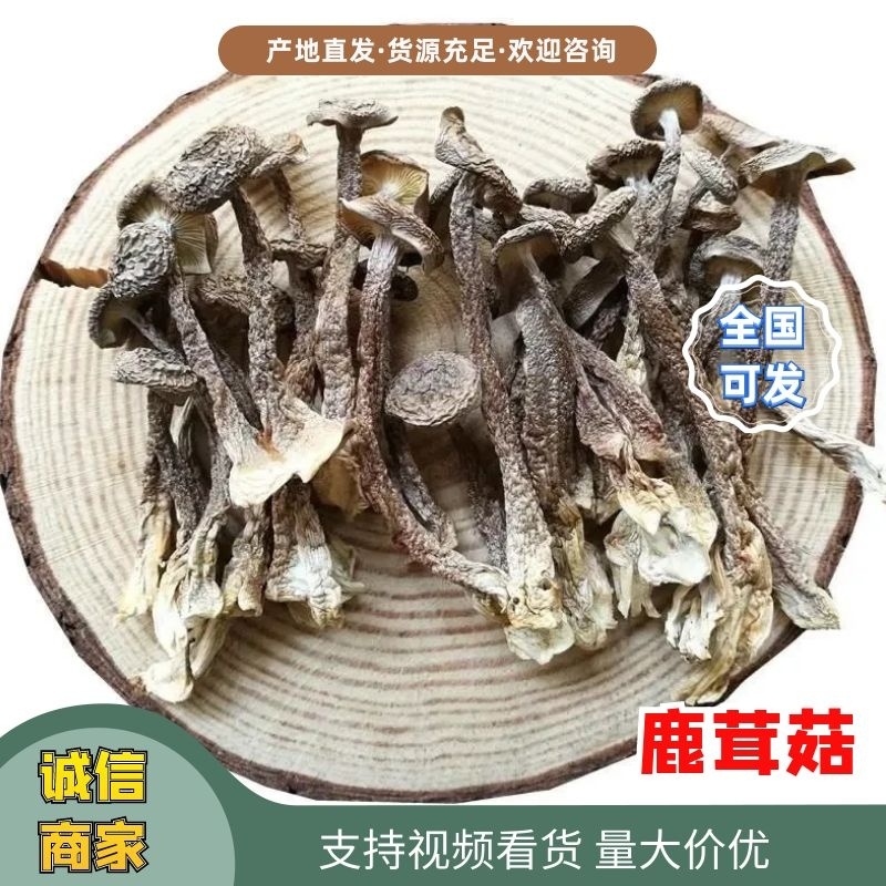 鹿茸菇鹿茸菌干货福建产地直销量大质优可视频选购