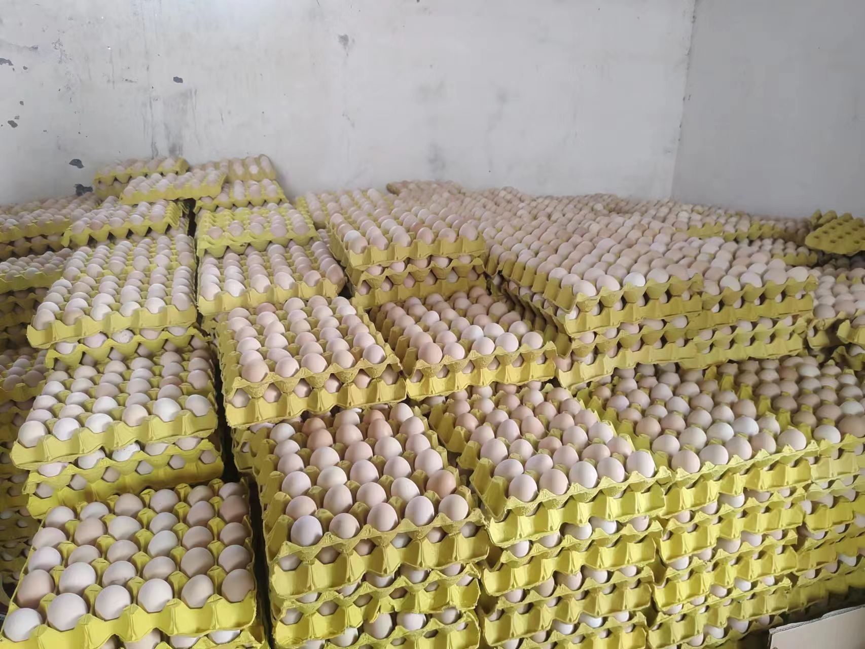 虫草冬瓜炖汤正在炖煮过程